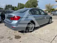 2013 BMW 316