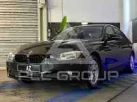 2013 BMW 316