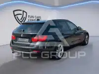 2013 BMW 316