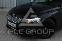 2013 BMW 316