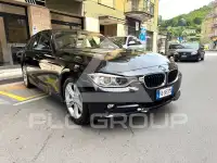 2013 BMW 316