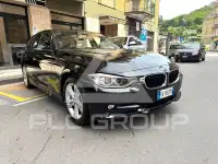 2013 BMW 316