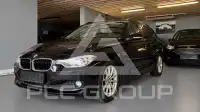 2013 BMW 316