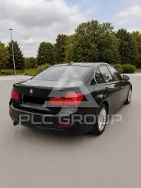 2013 BMW 316