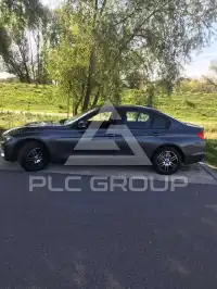 2013 BMW 316