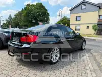 2013 BMW 316