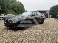 2013 BMW 316