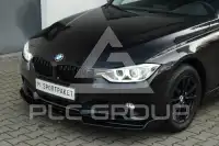 2013 BMW 316