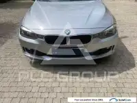 2013 BMW 316