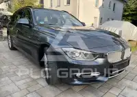 2013 BMW 316