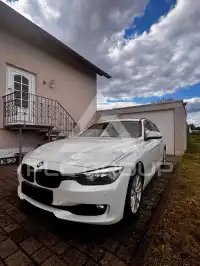 2013 BMW 316