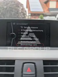 2013 BMW 316