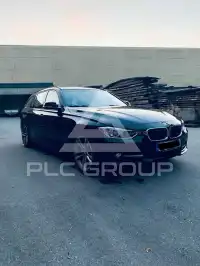 2013 BMW 316