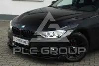 2013 BMW 316