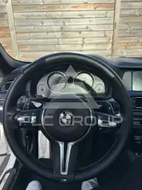 2013 BMW 530
