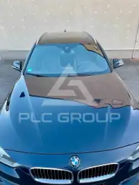 2013 BMW 320