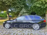 2013 BMW 520