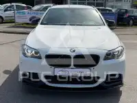 2013 BMW 520