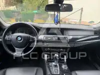 2013 BMW 520