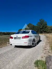 2013 BMW 520
