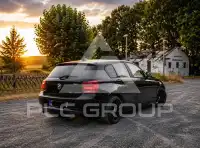2013 BMW 118