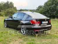 2013 BMW 318