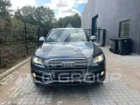 2013 Audi SQ5
