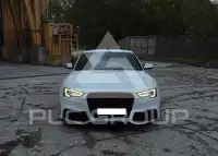 2013 Audi S5