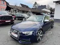 2013 Audi S5