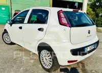 2013 Fiat Punto