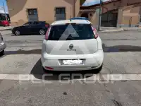 2013 Fiat Punto