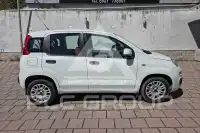2013 Fiat Panda