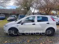 2013 Fiat Punto