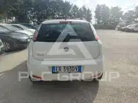 2013 Fiat Punto
