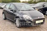 2013 Fiat Punto