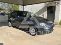 2013 Fiat Punto