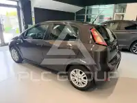 2013 Fiat Punto