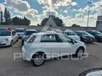 2013 Fiat Punto