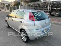 2013 Fiat Punto