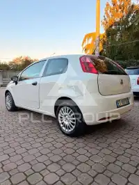 2013 Fiat Punto