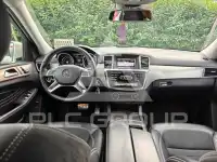 2013 Mercedes Benz ML 250