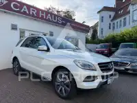 2013 Mercedes Benz ML 250