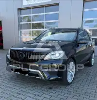 2013 Mercedes Benz ML 250