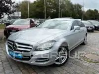 2013 Mercedes Benz CLS-Class