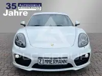 2013 Porsche Cayman