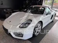 2013 Porsche Cayman