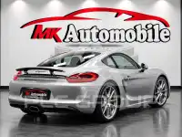 2013 Porsche Cayman