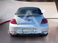 2013 Volkswagen BEETLE