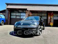 2013 Volkswagen BEETLE