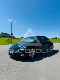 2013 Volkswagen BEETLE